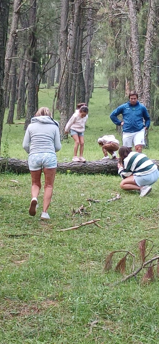 Alvaro Simon Padros tweet media