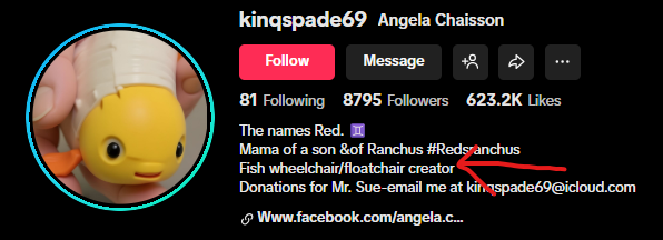 Not to mention the owner invented the floatchair.

We could help other fish suffering from the same condition.

$sue