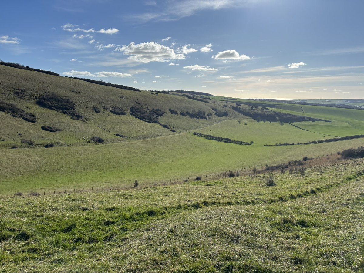 𝕎𝟜𝕟𝕜𝕗𝟜𝕥𝕙𝕖𝕣 (Top, Lad) tweet media