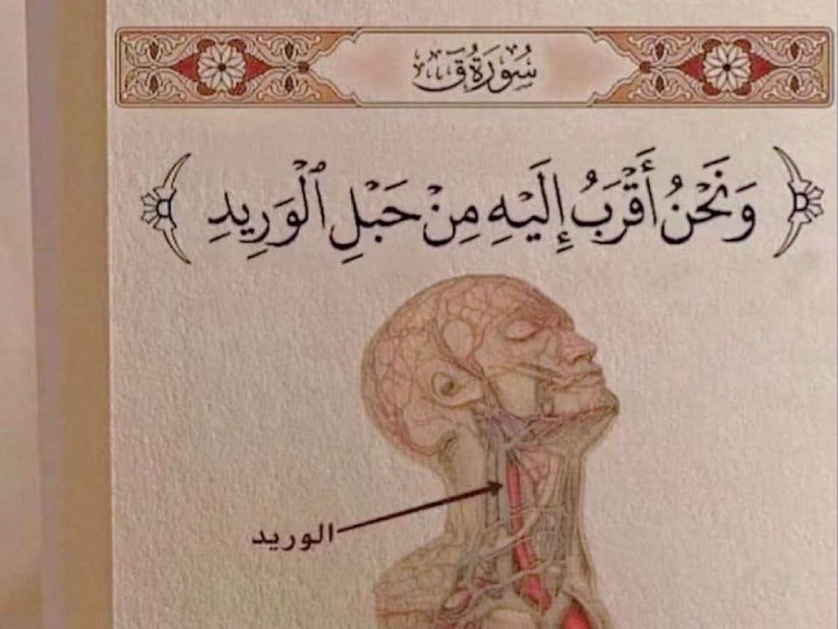 الفردوس tweet media
