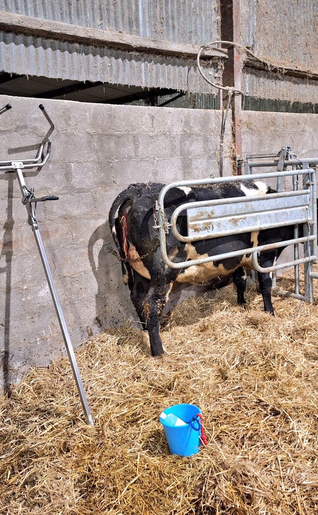 Kieran Griffin tweet media