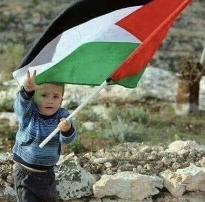 Orlando Curioso tweet media