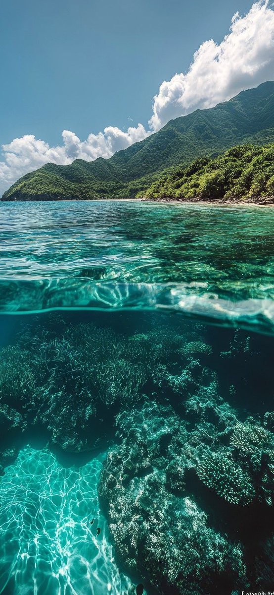 Aestheticc6mn's tweet image. #fypシ