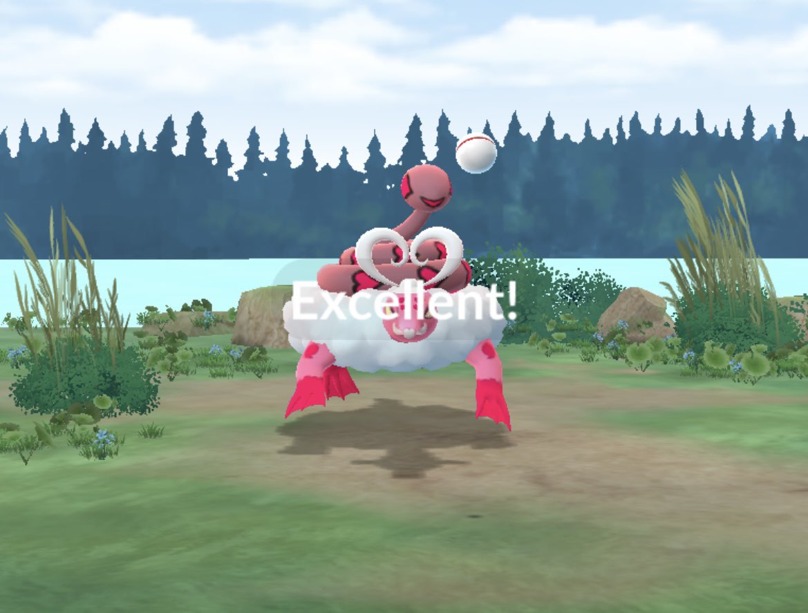 FairlyOddRadish's tweet image. HURRAY! My #PokemonGO app got fixed and I was able to get #Enamorous 🥳
I even got a couple of #ExcellentThrows 😸
#TherianEnamorous