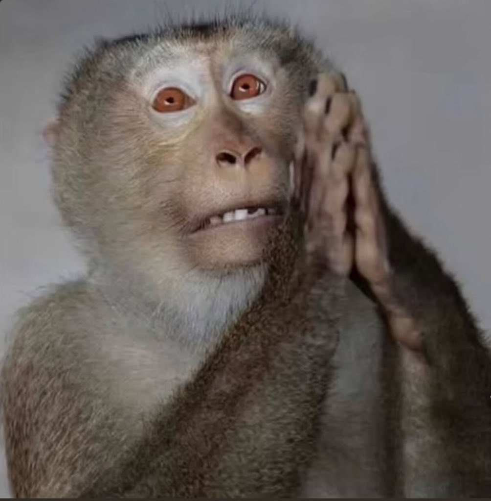 Oga <a href="/elonmusk/">Elon Musk</a> 
Mo fi Olorun be yin landlord,don't let this my 4k followers reduced to 3.5k before tomorrow biko
To reach here no be child play abeg

Welcome on board my new mutuals. We're going to enjoy every bit of the movement Village Boys
Country Boys
Obidients 
ADC 
Let's go