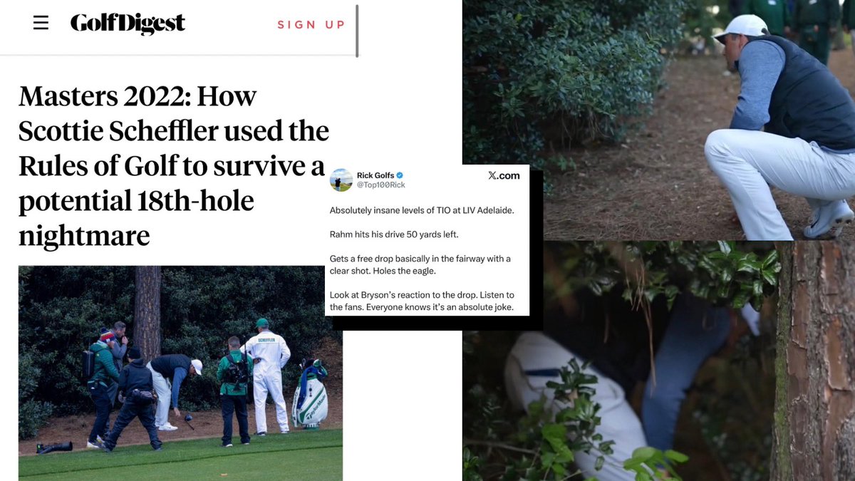 54.Golf 🎬 tweet media