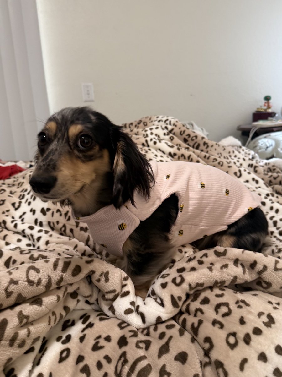 i made him this shirt and he got sad while wearing it 😔