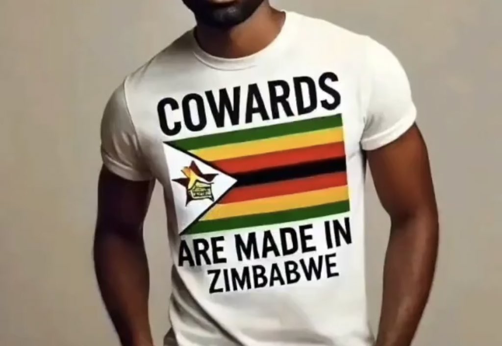 NdumoZindela's tweet photo. @AmukelaniMoyani Go unite in your countries please 🇿🇼 🇳🇬 

Leave South Africa in peace 🇿🇦 https://t.co/hIEIw0B73a