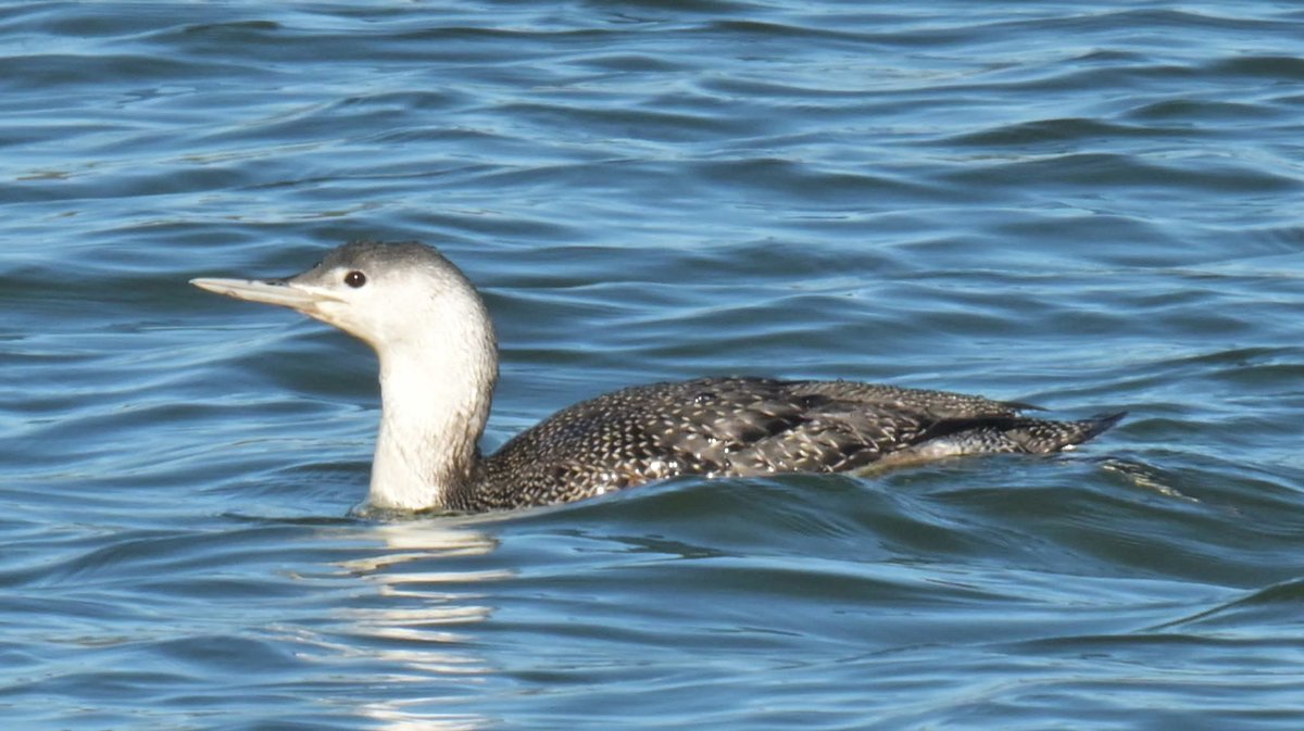 stuart j mundy tweet media