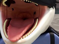 Danny - Big Gulper 🦈💸 tweet media