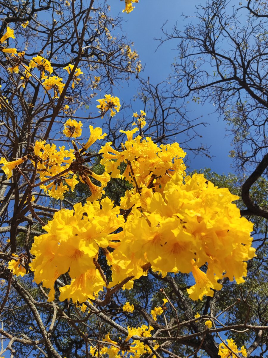 Ya empezamos.
Feliz calorón, mi gente. 💛