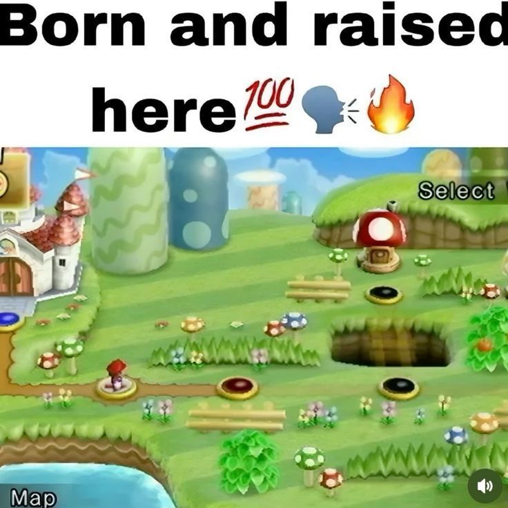 Internet Slop tweet media