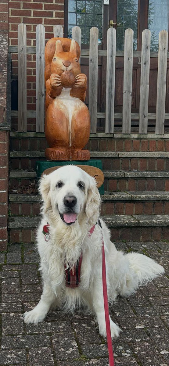 Dad says 2 nutters together 😳🐶🐿️ rude !