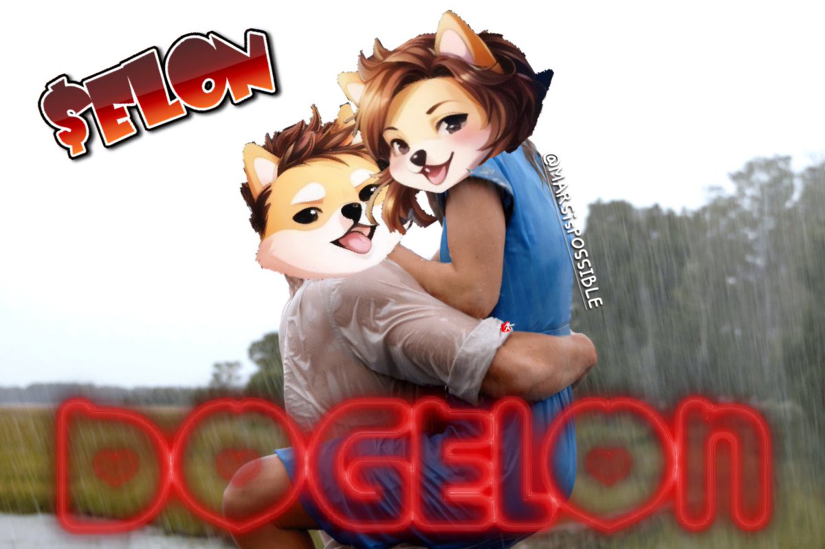 DOGELON MEME LORD tweet media