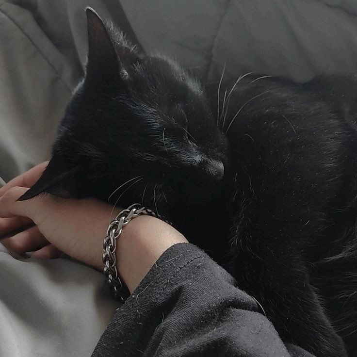 kooelandia's tweet image. jikook au | TERMINADA 

Onde o mar nos levou

Apos a perda de sua mae, Jeon Jungkook é obrigado a se mudar de volta para Busan, contando, ele não esperava que o garoto rosadinho que sempre o observou na escola, se tornasse seu único refúgio.