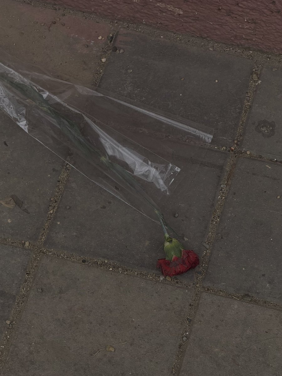 That's what she said (@anas_ananass) on Twitter photo 