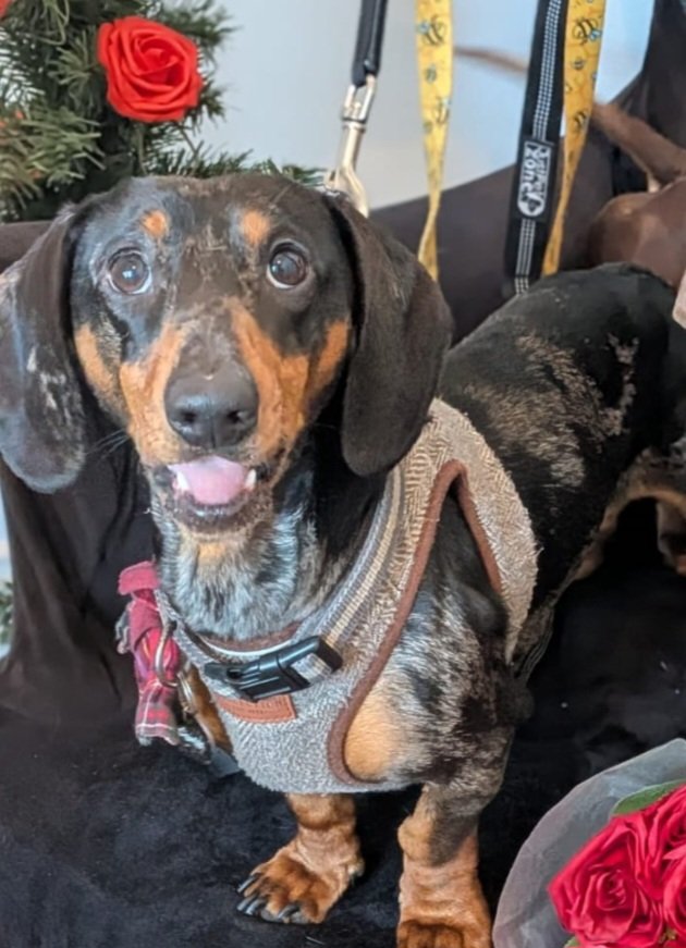 Heather Wearden tweet media