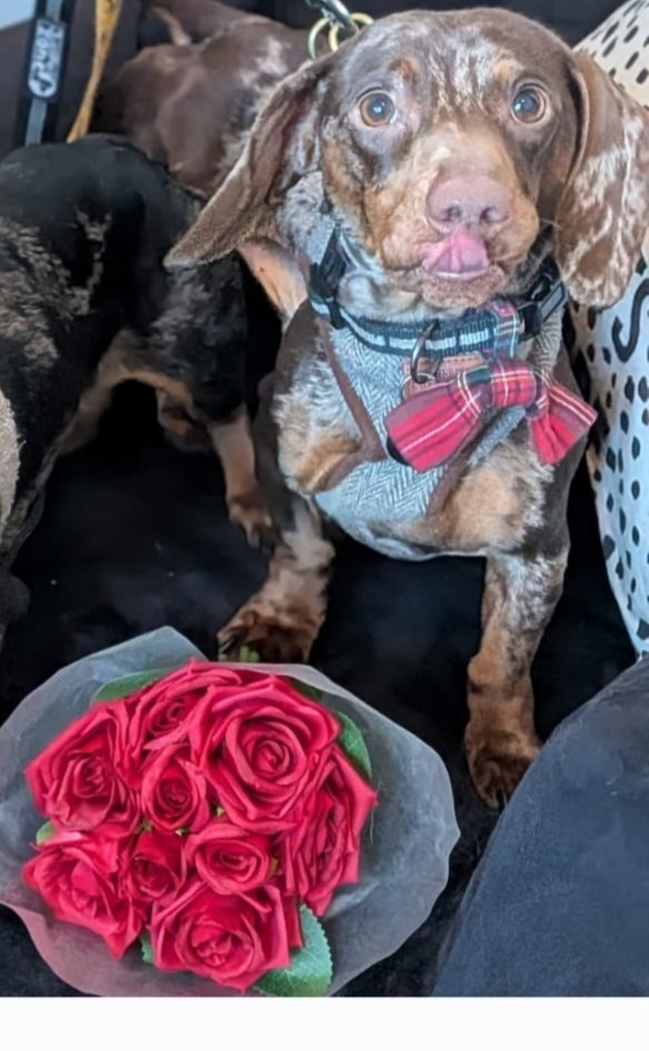 Heather Wearden tweet media