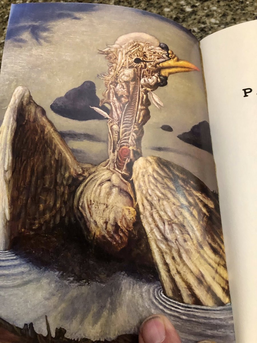 jeffrey ford tweet media