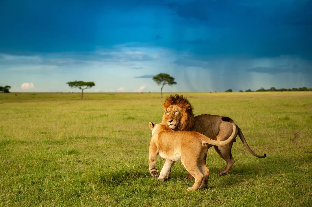 Serengeti National Park ❤️