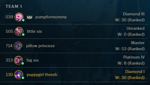 blanche 🐾 tweet media