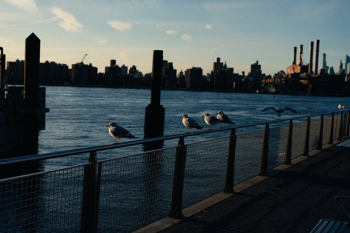 matsefcik's tweet image. Winter light in New York