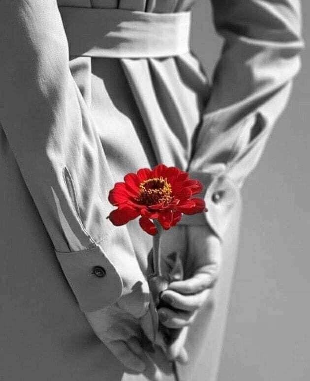 AnabElla Lee 🦋 ( Ella Lee) tweet media