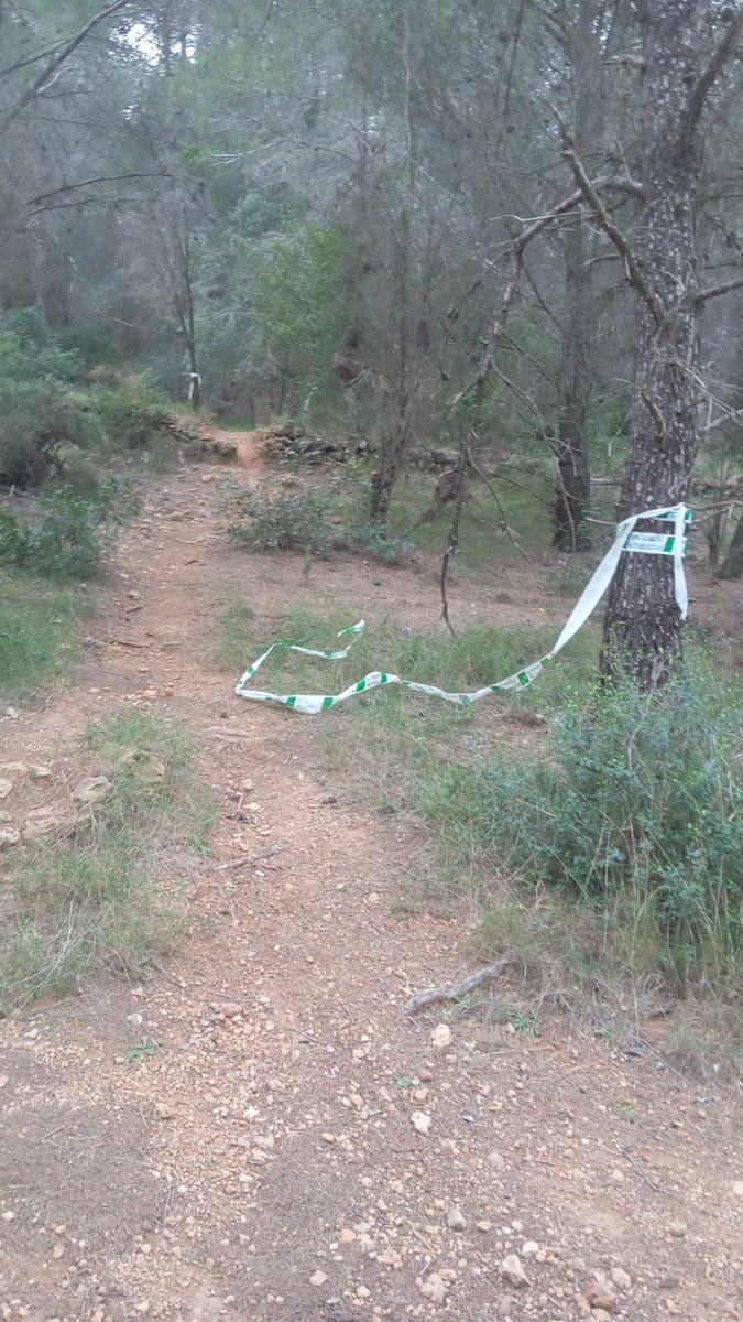 AGENTES APAMCV tweet media