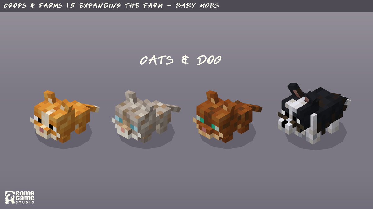 Some Game Studio❓ tweet media