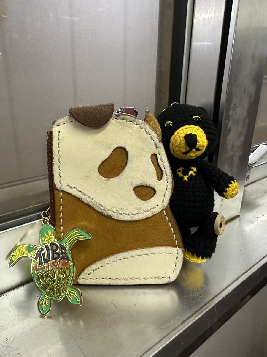 今日はこれから福岡へ🚋
20260215
#bsbccjapan
#440パンダ
#TUBE