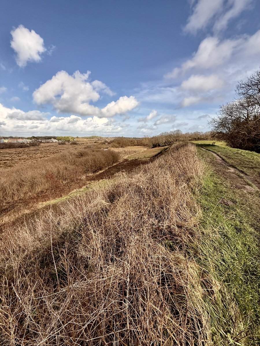 Gretel Le Maître tweet media