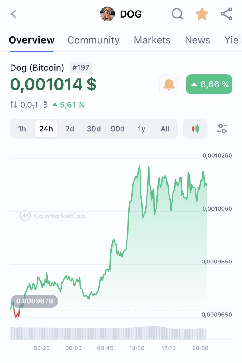 $DOG is going to explode 💥