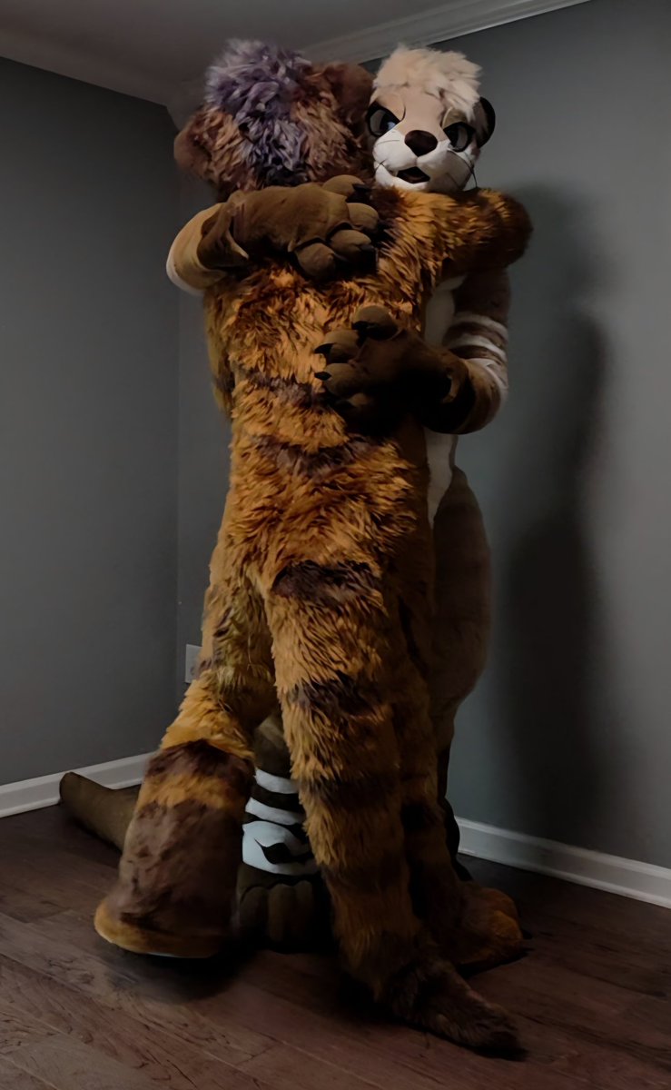 Tesser 🔜 FWA, AC tweet media