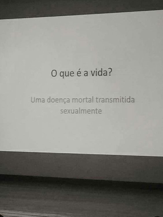 5gramasdememes's tweet image. 🦄