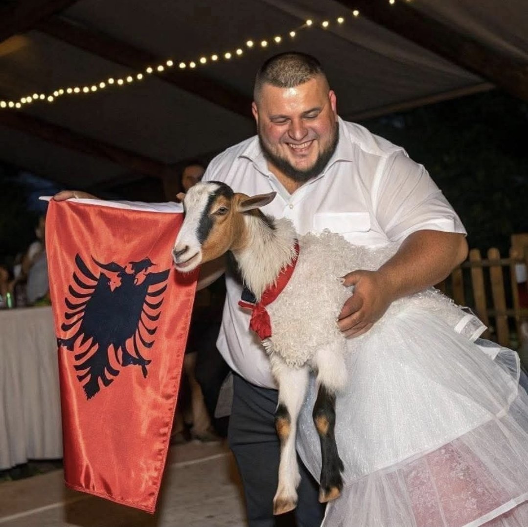 Žeks 333 tweet media