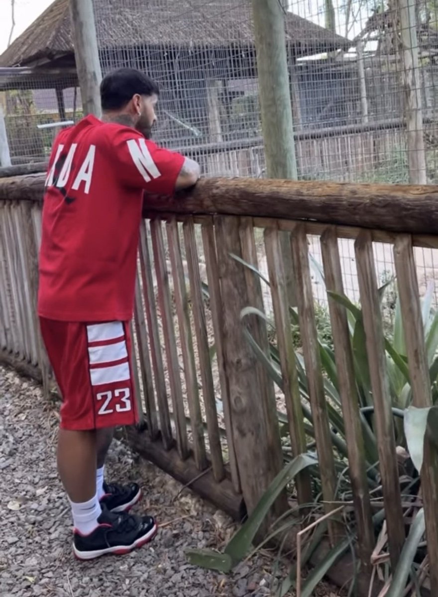 R07258C's tweet photo. Simplemente estamos muy de vuelta 🐐 https://t.co/fNmSuVnEFX