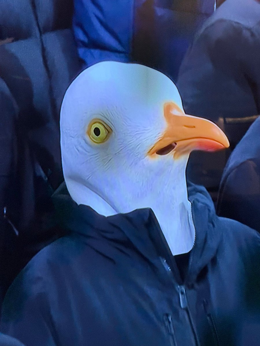 “Babe, what are we doing for Valentine’s Day this weekend?”

Me: