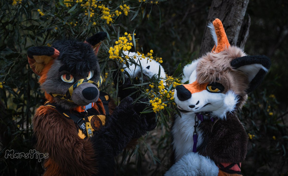 Rye🔜LVFC tweet media