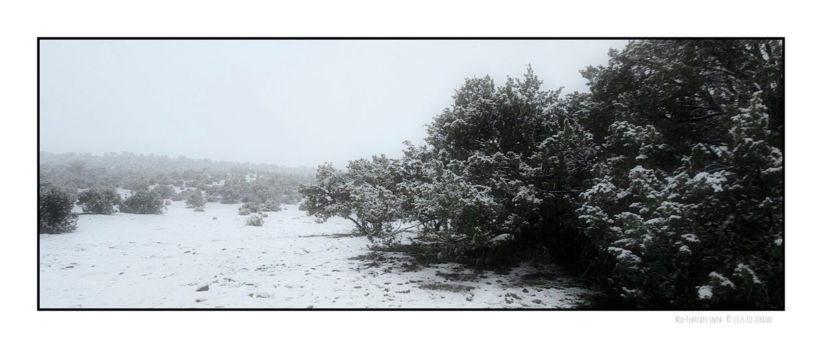 fasterhorses's tweet photo. Mid-February snow
(c) 2026 Lif Strand Two days ago it was 60° F and I was shedding layers. Yesterday was a different story. #Gaia #PhotoArt #DailyPhoto #landscape
https://t.co/TYngOVEU03 https://t.co/7ra2b5vvA3