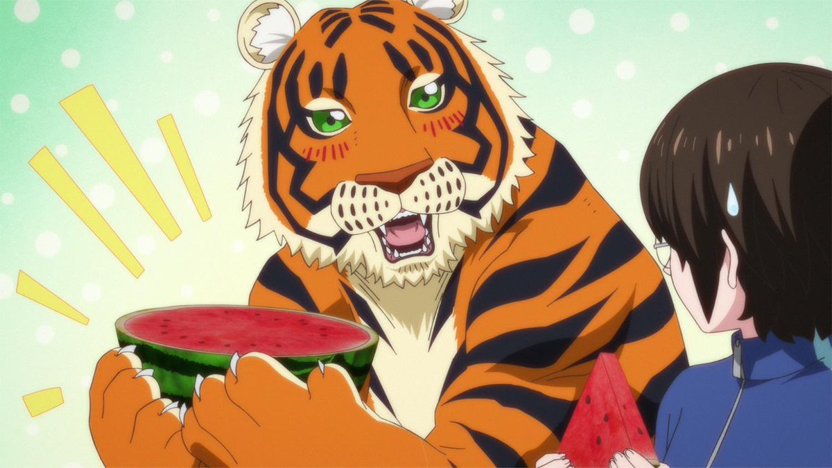 twist_pineapple's tweet photo. Female Tigers In media is my ride or die bro https://t.co/PCKN9DHdvp