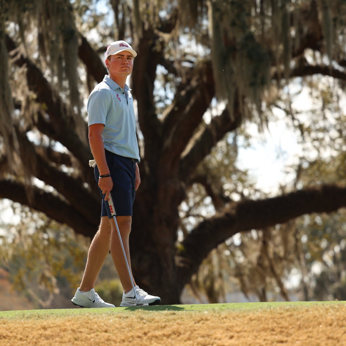 Gators Golf tweet media