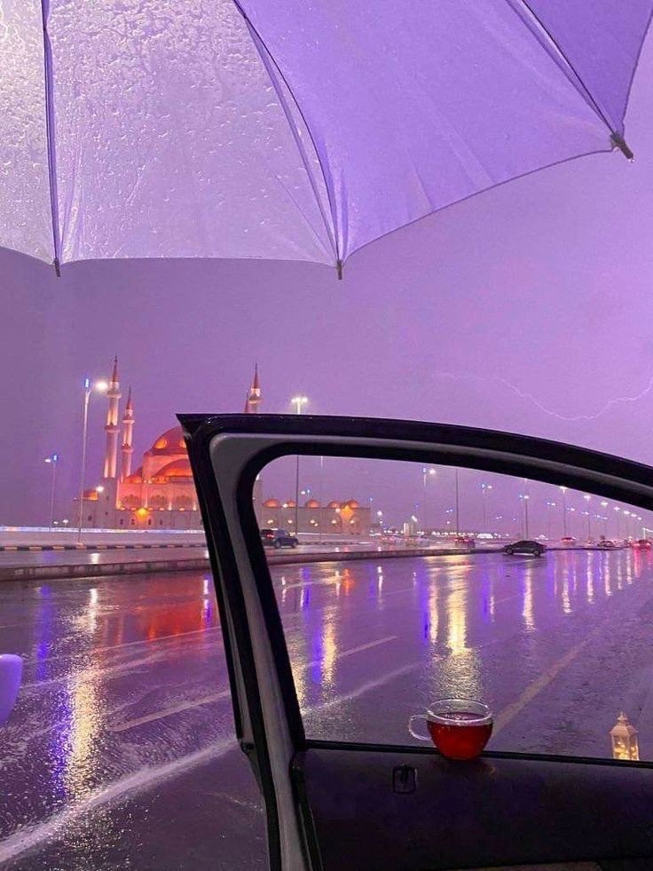 "كُلُّ الرِّحَابِ سِوَى رِحَابكَ وَحشَةٌ
يَا ضَيعَة السَّاعِي لِغَيرِ رِضَاكَ"

إلهي في رحابك أستريحُ
وأنتَ الغافرُ الحيُّ الكريمُ.
فعفوكَ يا إلهي هو رجائي
وفي لطفك أرى الأملَ العظيم.