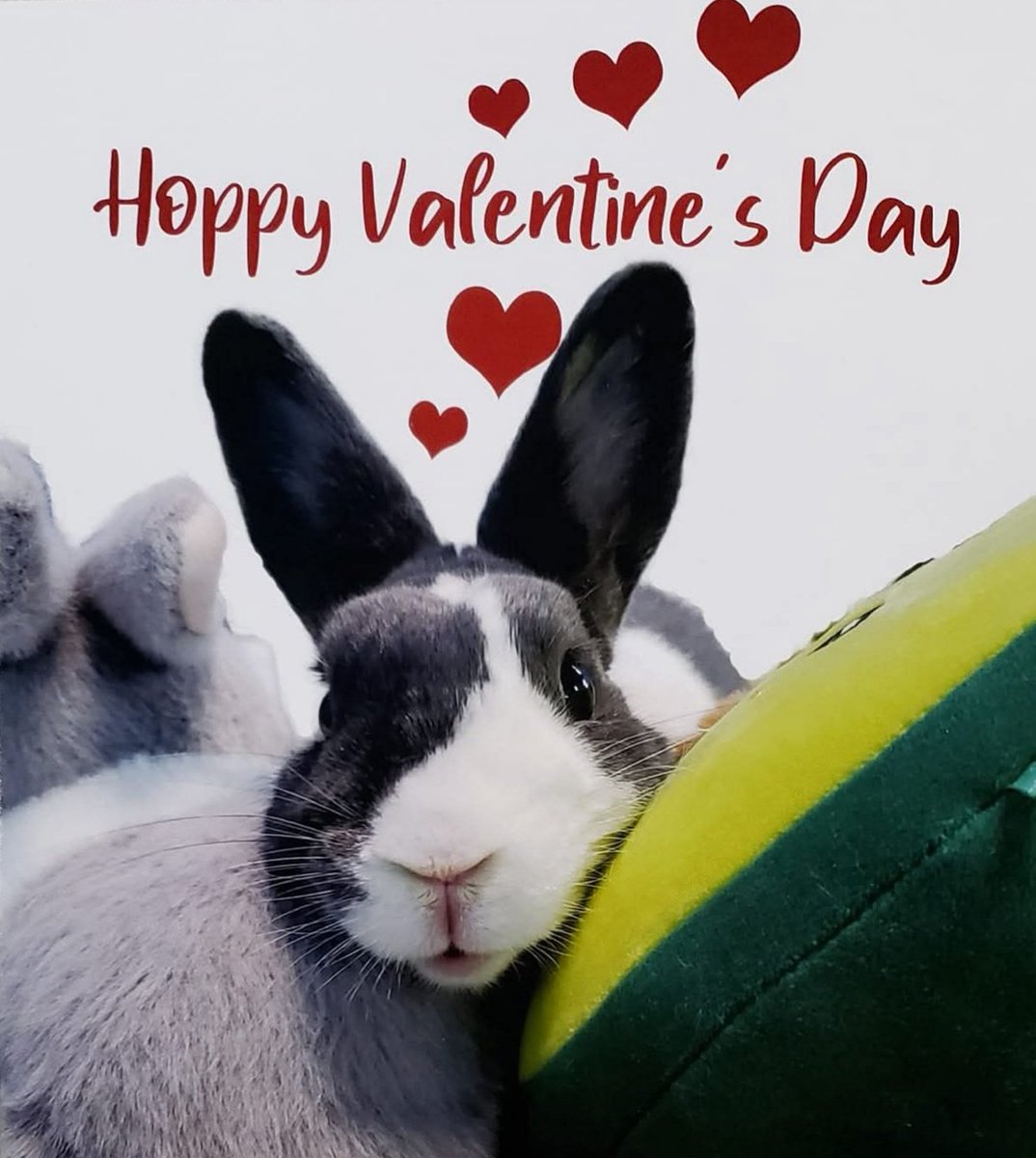 Tranquility Trail tweet media