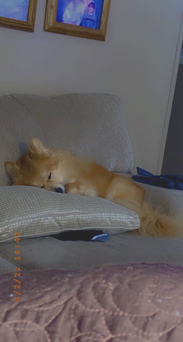 Fizz 😈🐏 【VTUBER】 tweet media