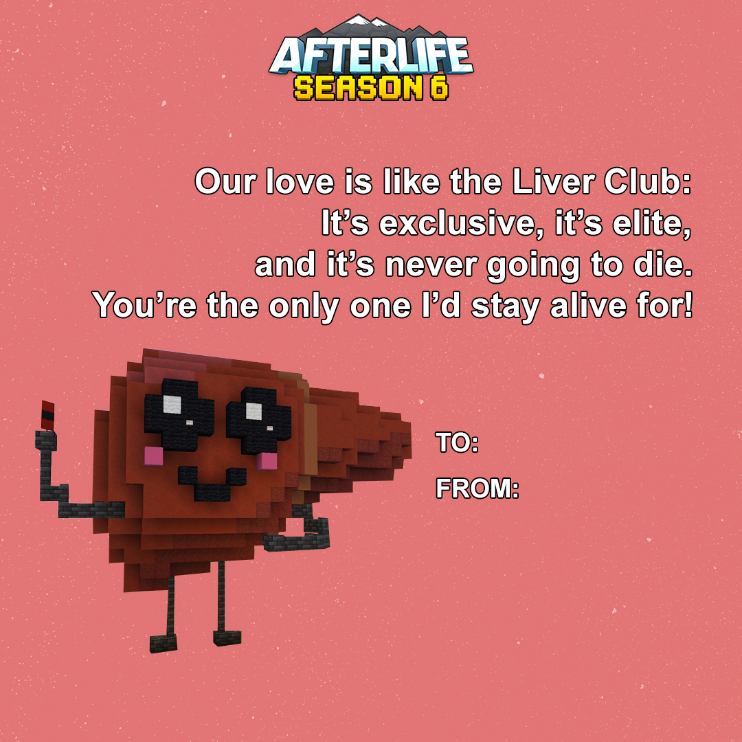AfterLife SMP tweet media