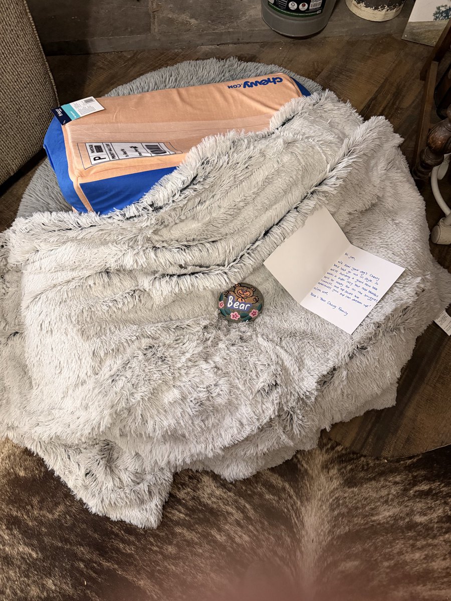 jim_farms's tweet photo. Thanks @Chewy for the love and thoughtful gifts!  I love the painted stone in memory of my Bear and the new bed, since my girl Lola had to give up here Chewy box bed! https://t.co/52sFLP11vw