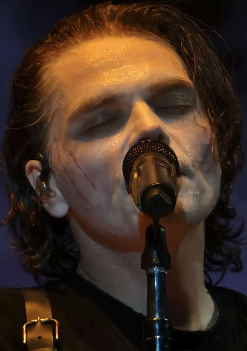 you can literally See the sweat on her face. Hello 

photo from @/chihuahuas.salvajes on instagram