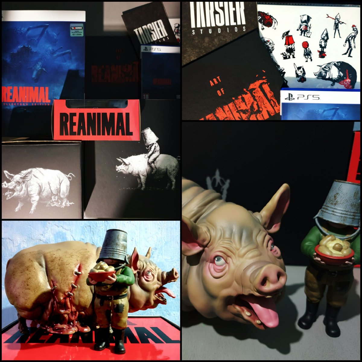 Donovan Rachmaninoff tweet media