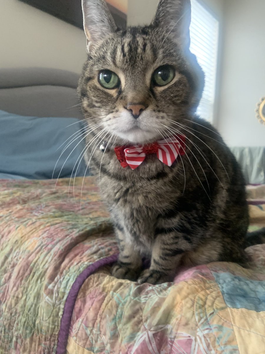 Sara and Raymond 😸 tweet media