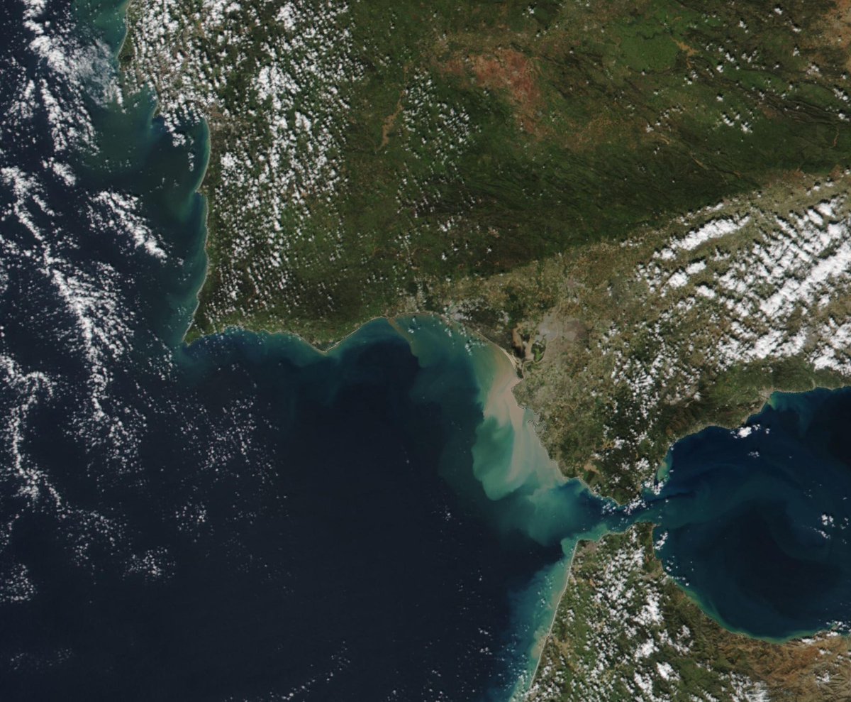 alvaroliver's tweet image. Es espectacular la imagen captada por el satélite Suomi este mediodía a unos 830 km de altura. Se aprecia con claridad la gran cantidad de sedimentos que llegan al golfo de Cádiz a través de ríos como el Guadalquivir o el Guadalete, tras las extraordinarias lluvias de estos días